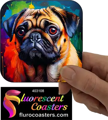 Pug Dog 5