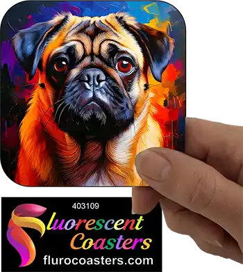 Pug Dog 6