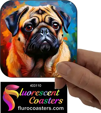 Pug Dog 7