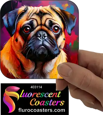 Pug Dog 11