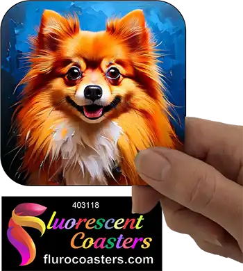 Pomeranian Dog 6