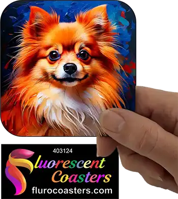 Pomeranian Dog 12