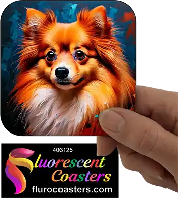 Pomeranian Dog 13