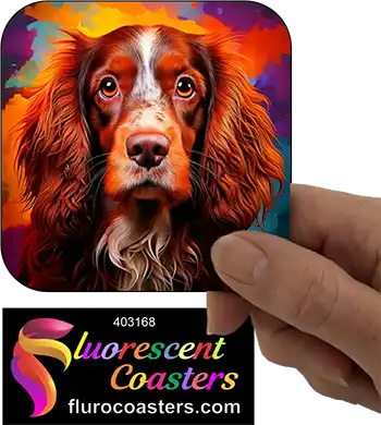 Australian Cocker  Spaniel Dog 2