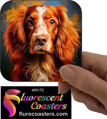 Australian Cocker  Spaniel Dog 6