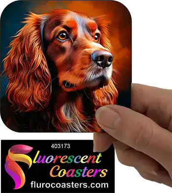 Australian Cocker  Spaniel Dog 7