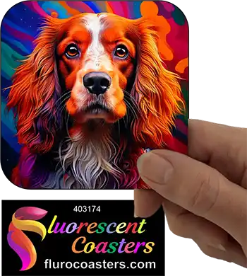 Australian Cocker  Spaniel Dog 8