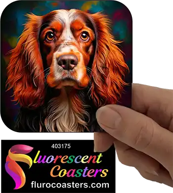 Australian Cocker  Spaniel Dog 9