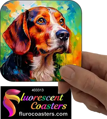 Beagle Dog 12