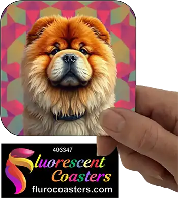 Chow Chow Dog 5