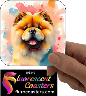 Chow Chow Dog 7