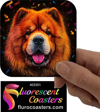 Chow Chow Dog 9