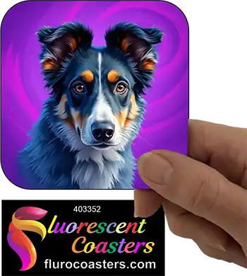 Australian Shepherd Dog 4