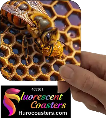 Bee On Beehive 1