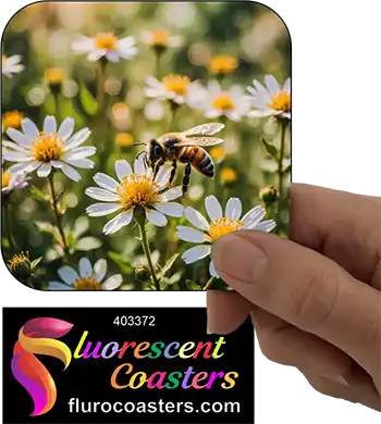 Bee On Flower 10