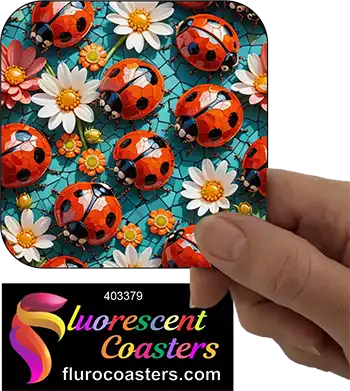 Ladybird Ladybug 5