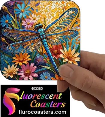 Dragonfly 1