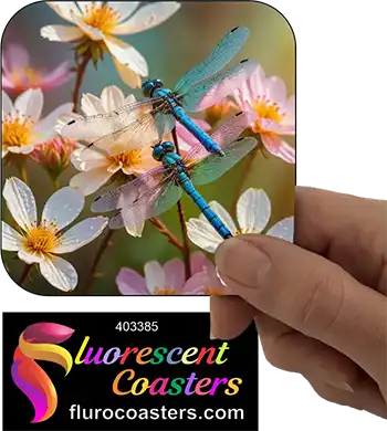 Dragonfly 4
