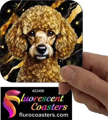 Poodle Dog Brown 2