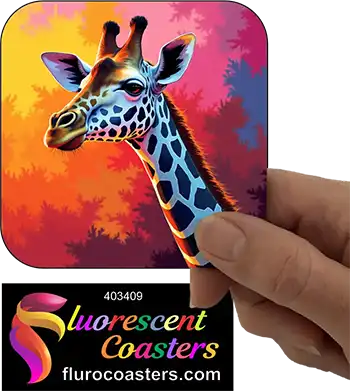 Giraffe  29