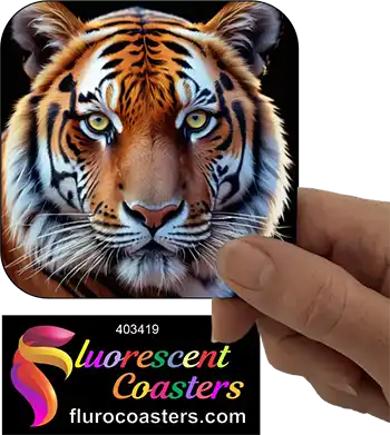 Tiger 9