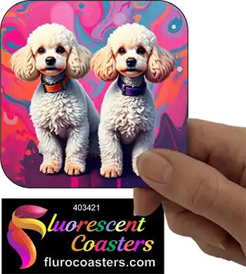 Poodle Dogs White