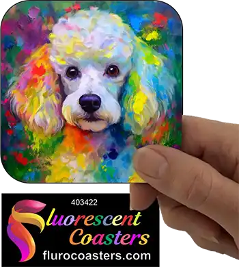 Poodle Dog White 1