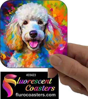 Poodle Dog White 2