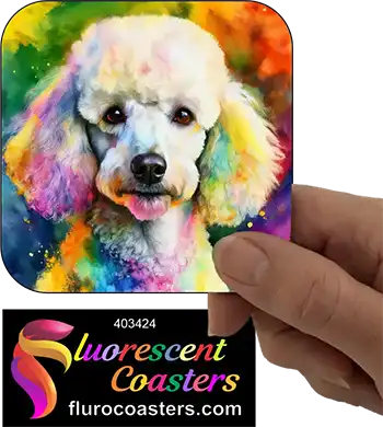 Poodle Dog White 3