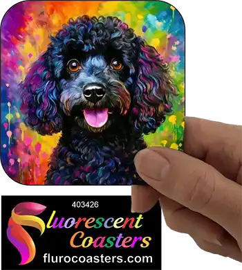 Poodle Dog Black 2