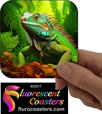 Lizard 8