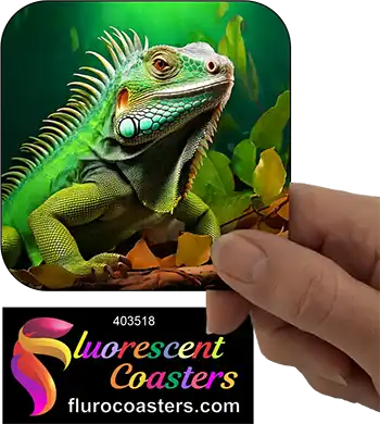 Lizard 9