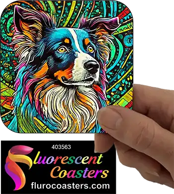 Border Collie Abstract 4