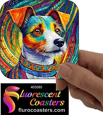 Jack Russell 10