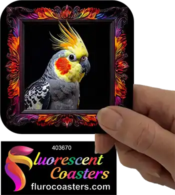 Cockatiel Frame 3