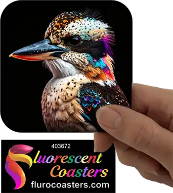 Kookaburra Frame 1
