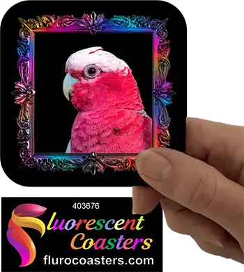 Galah Frame 1