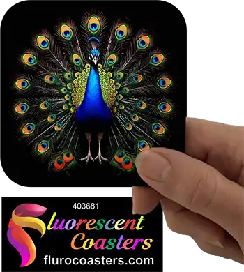 Peacock Art 1