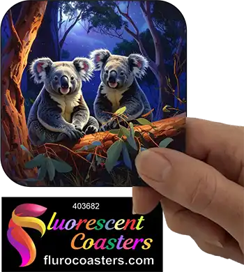 Koala at Night 1