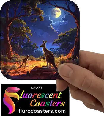 Kangaroo at Night 1