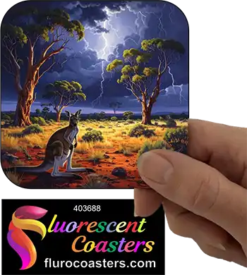 Kangaroo at Night 2