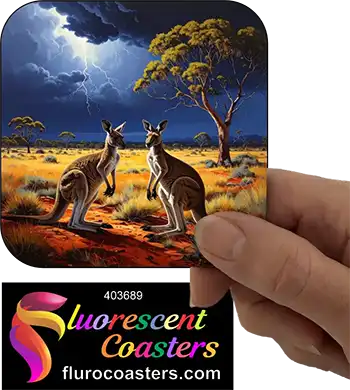Kangaroo at Night 3