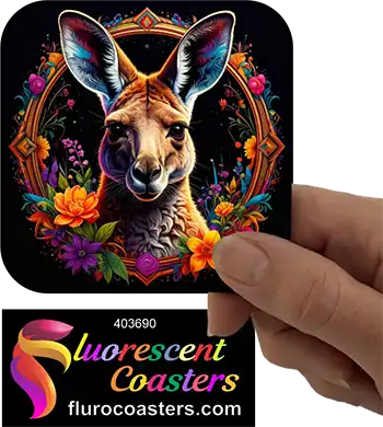 Kangaroo Frame 2