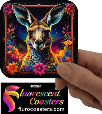 Kangaroo Frame 3