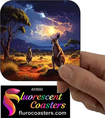 Kangaroo at Night 4