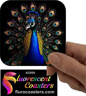 Peacock Art 5