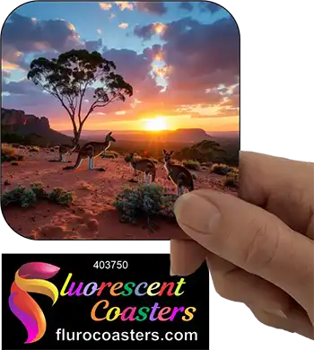 Kangaroo Outback 2